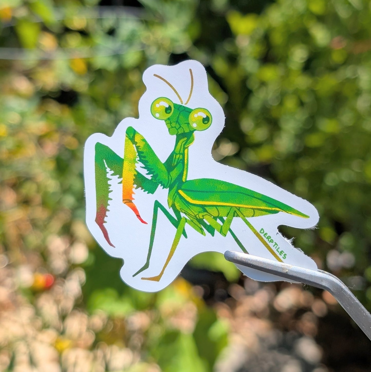 Praying Mantis Sticker