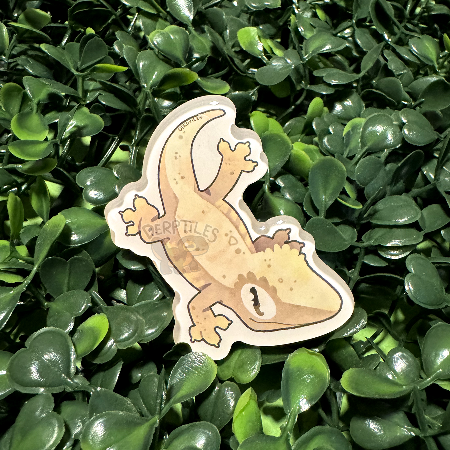 Gecko Magnets