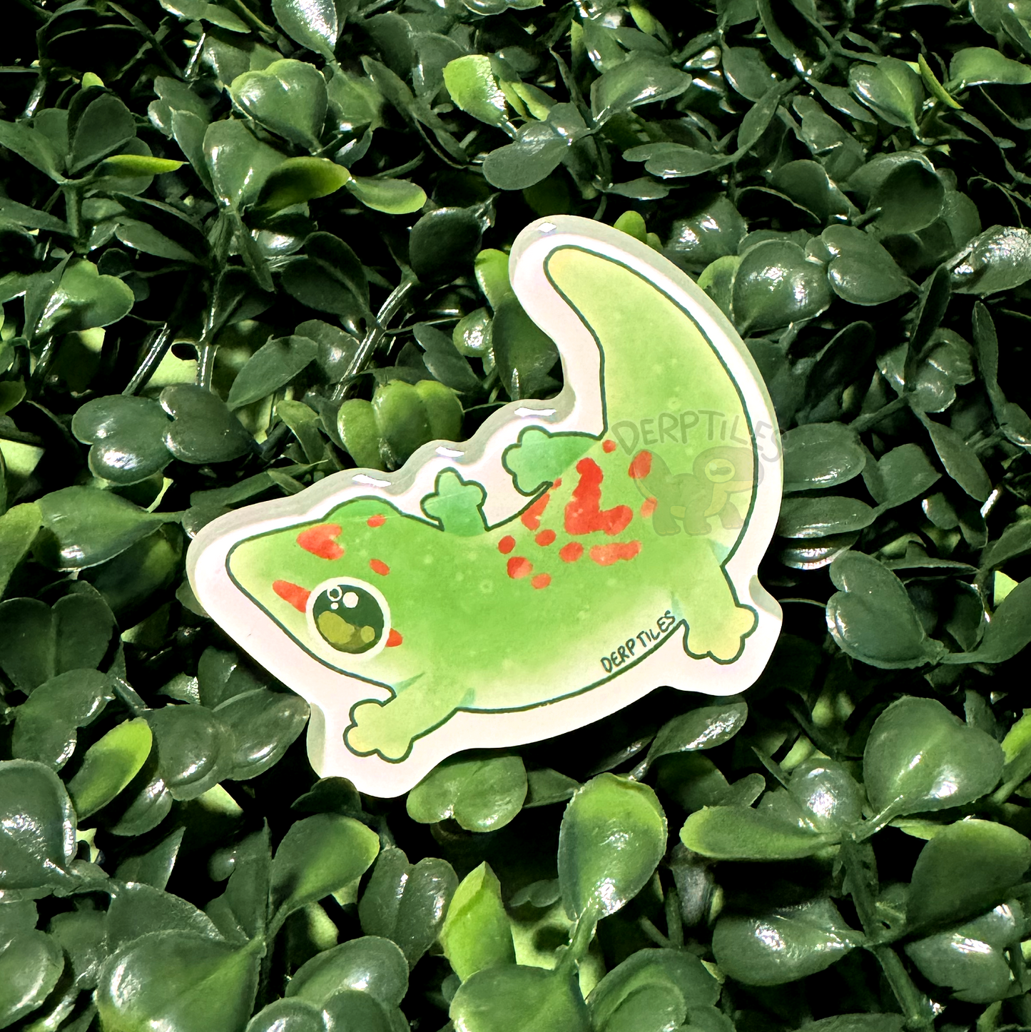 Gecko Magnets