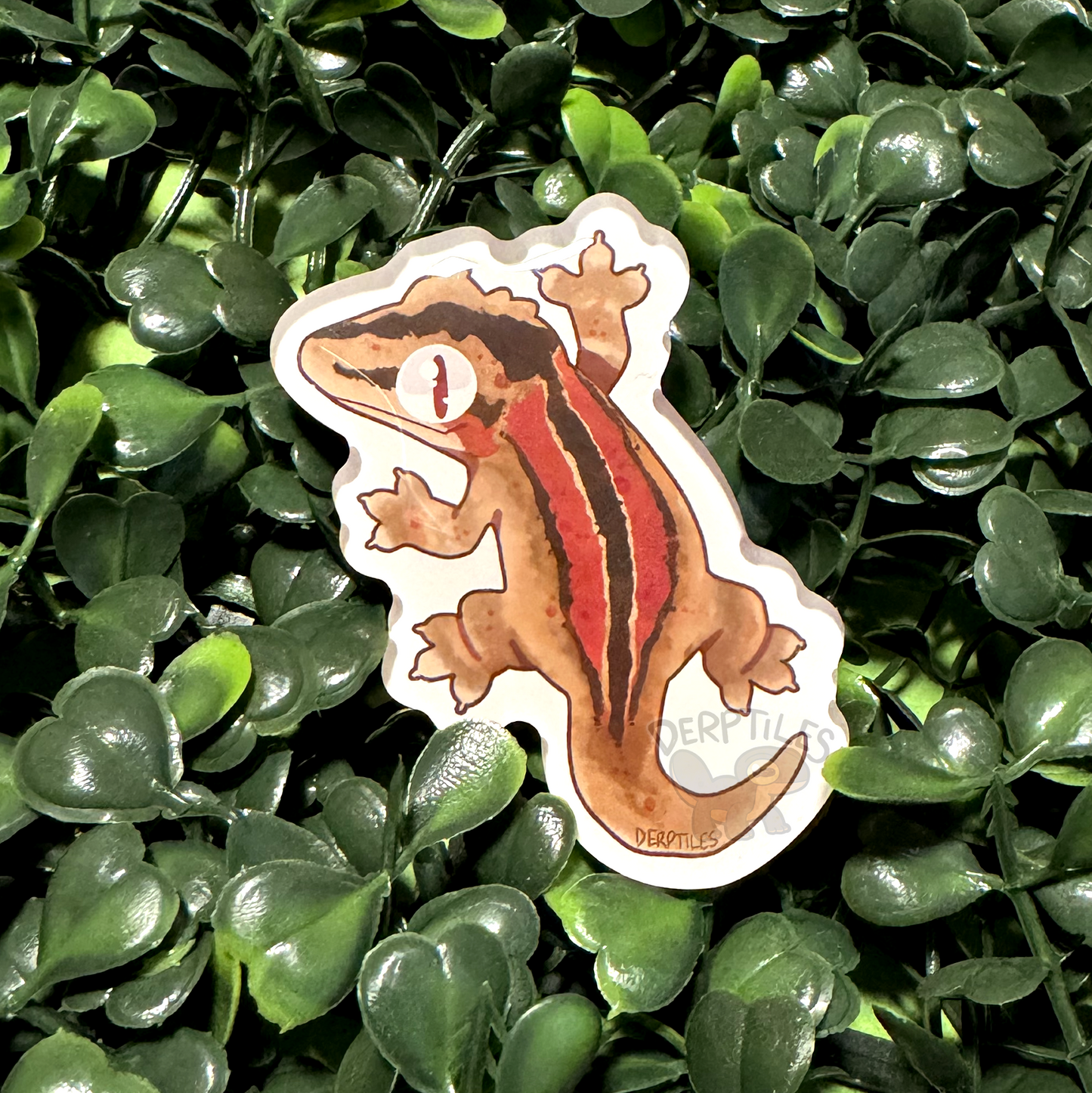Gecko Magnets