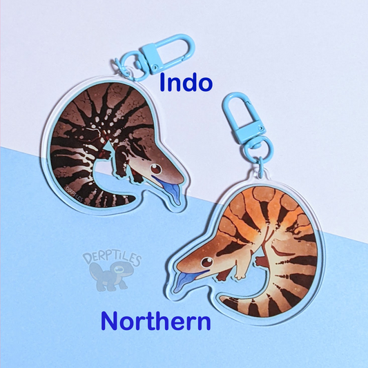Blue Tongue Skink Charm