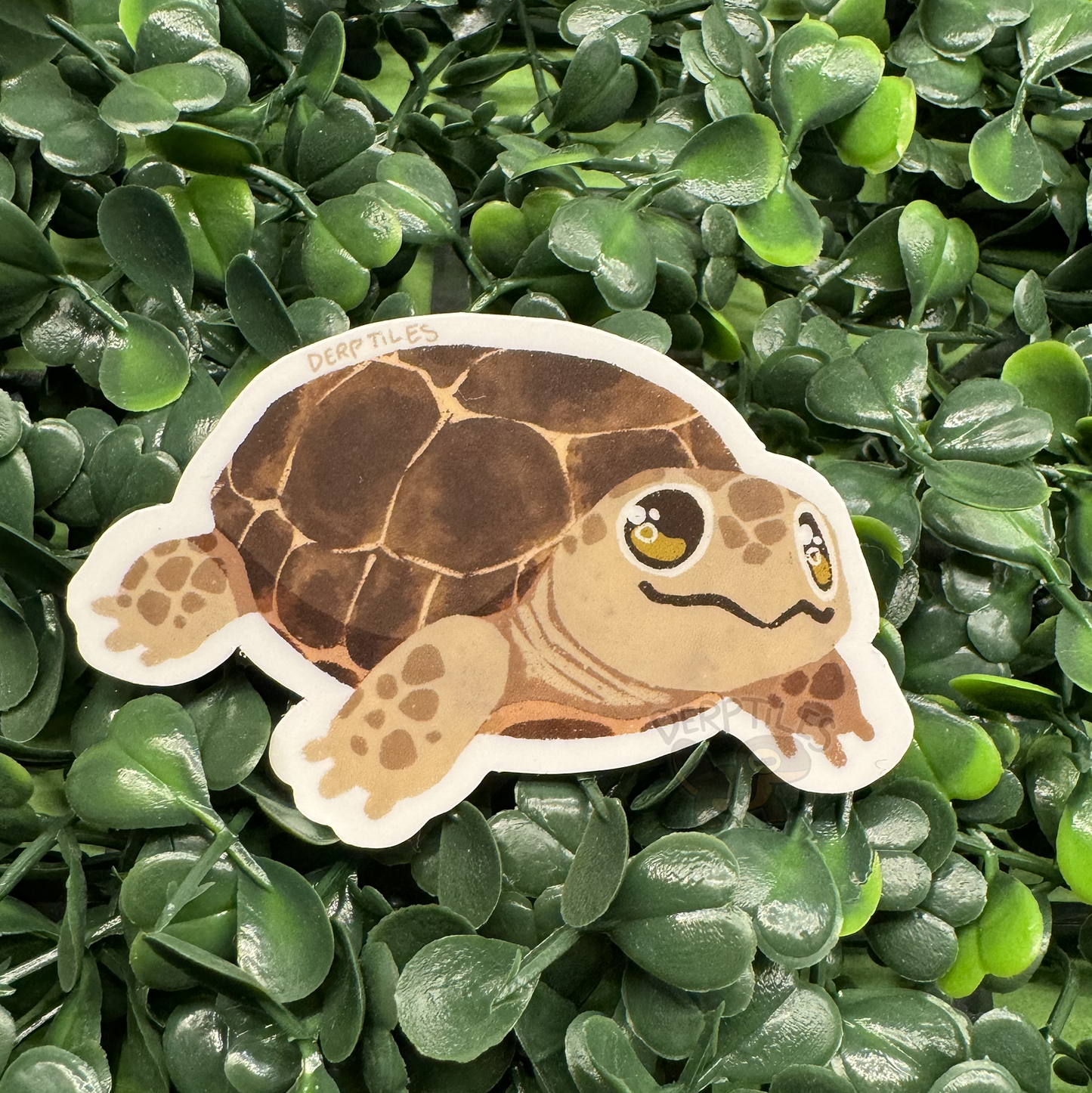 Pet Reptiles Stickers