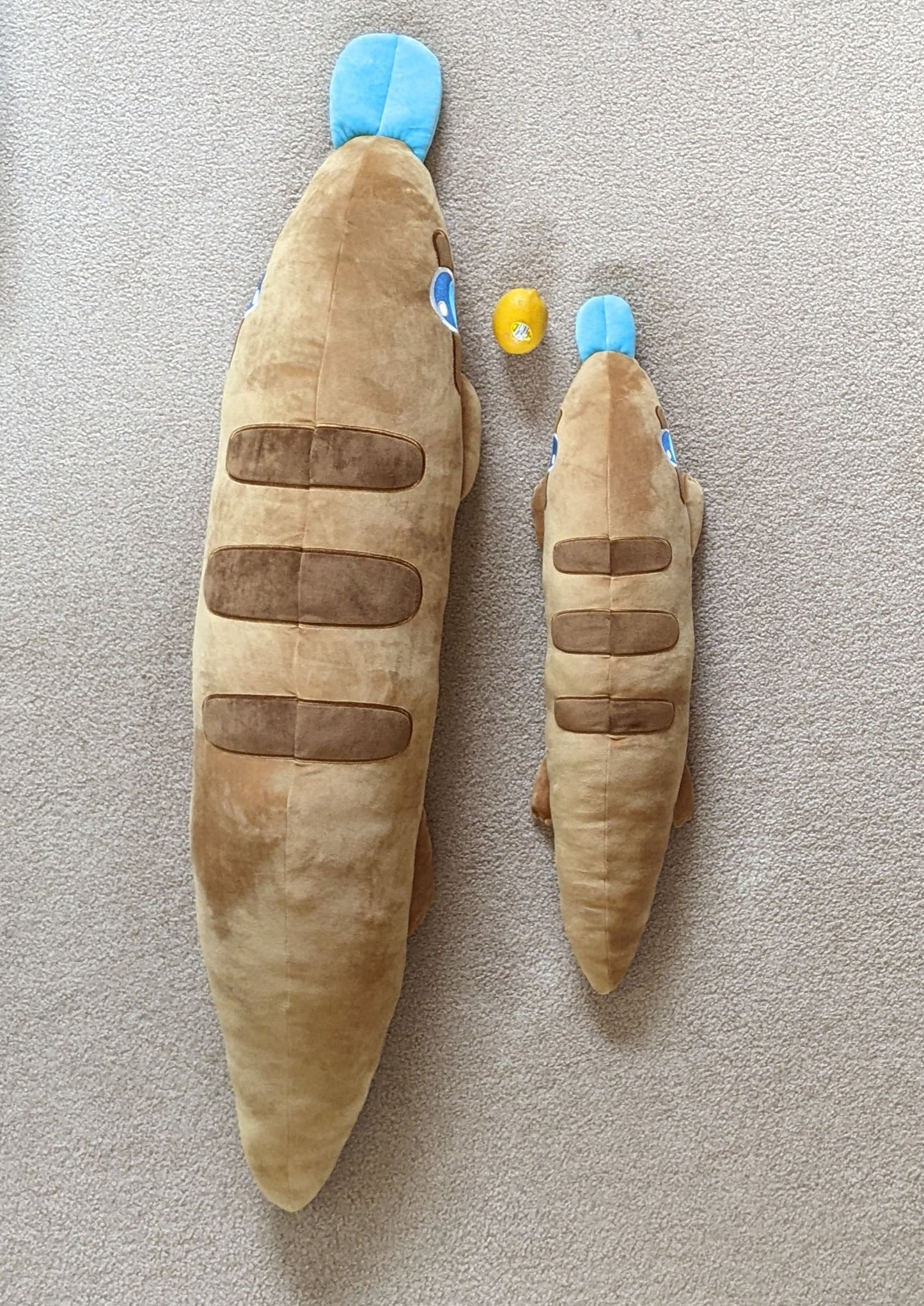 A visual comparison of the size difference between 4ft and 2ft Skonk with a lemon for scale.
