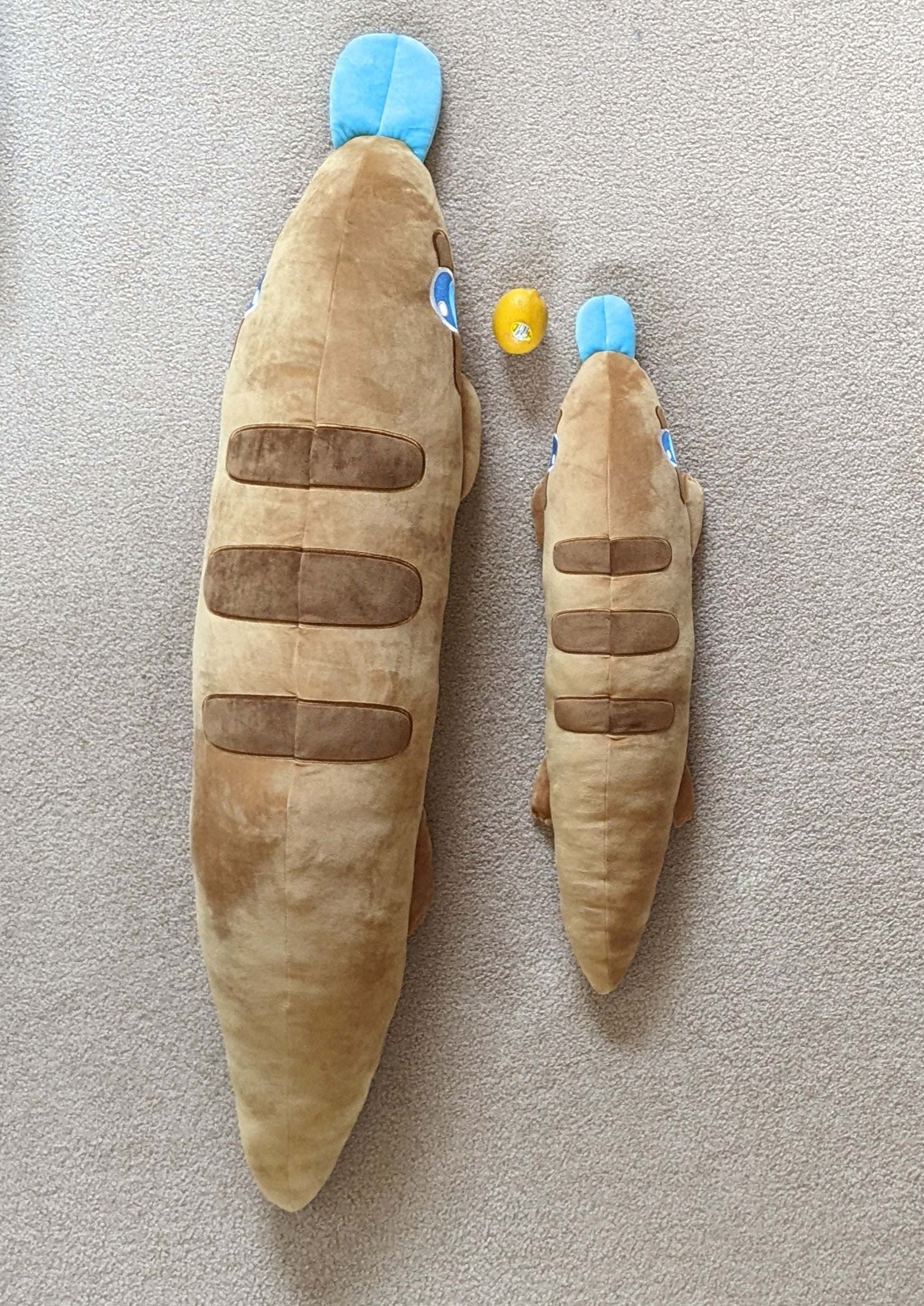 A visual comparison of the size difference between 4ft and 2ft Skonk with a lemon for scale.