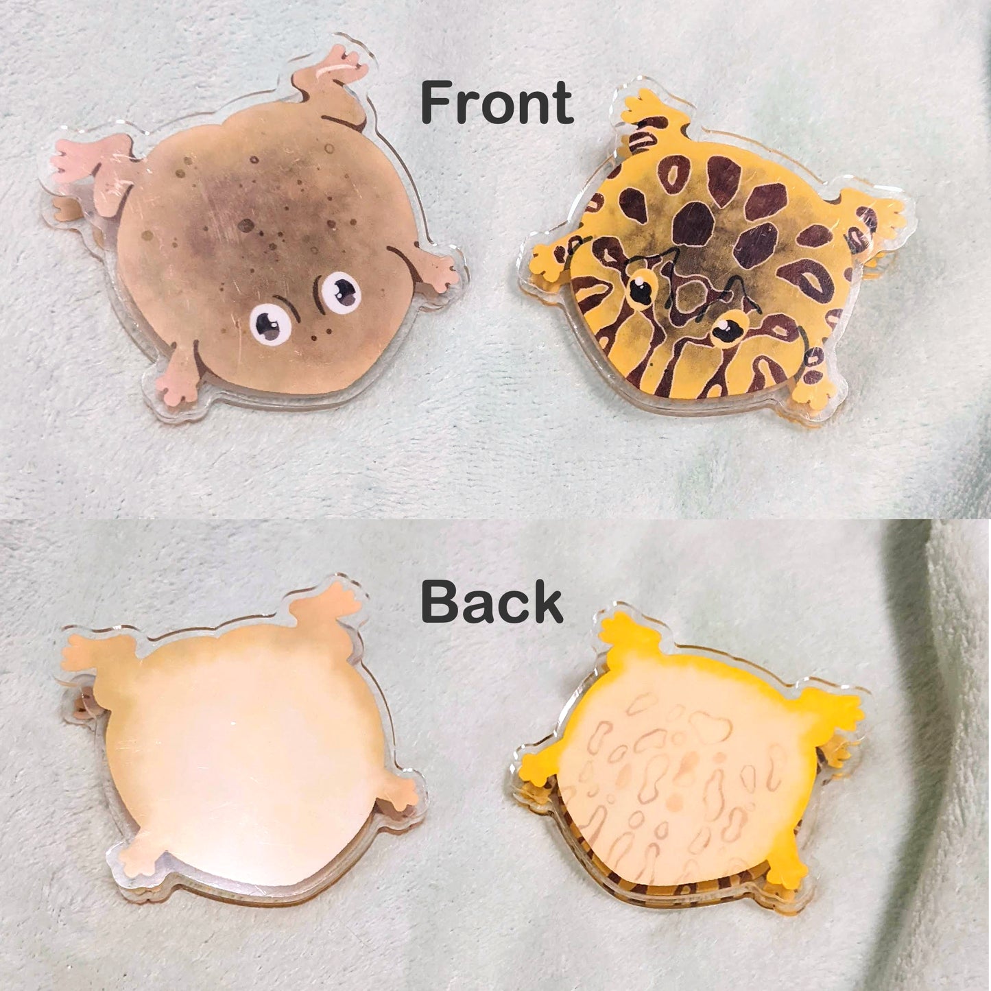 Snack Clips