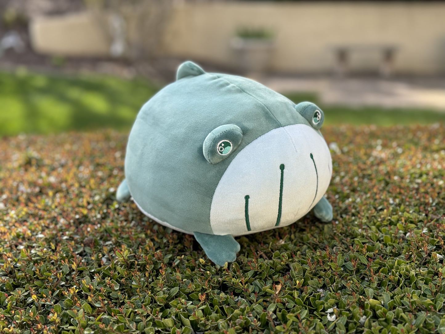 Frogwhale Plushie