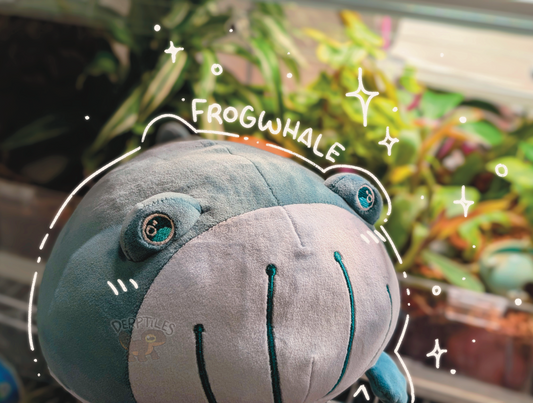 Frogwhale Plushie