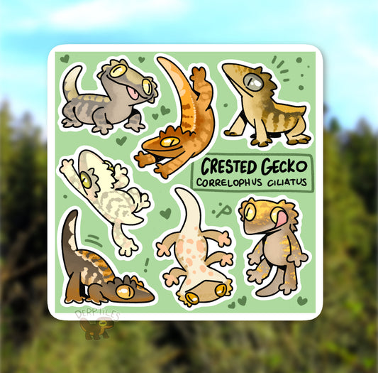 Crested Gecko (Correlophus Ciliatus) Sticker Sheet