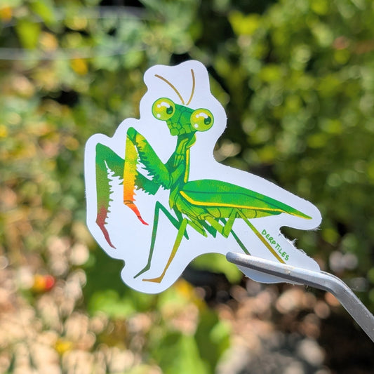 Praying Mantis Sticker