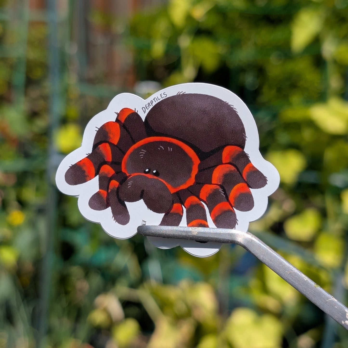 Spider Stickers