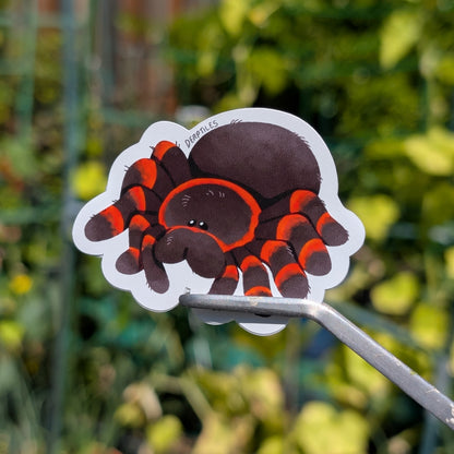 Spider Stickers