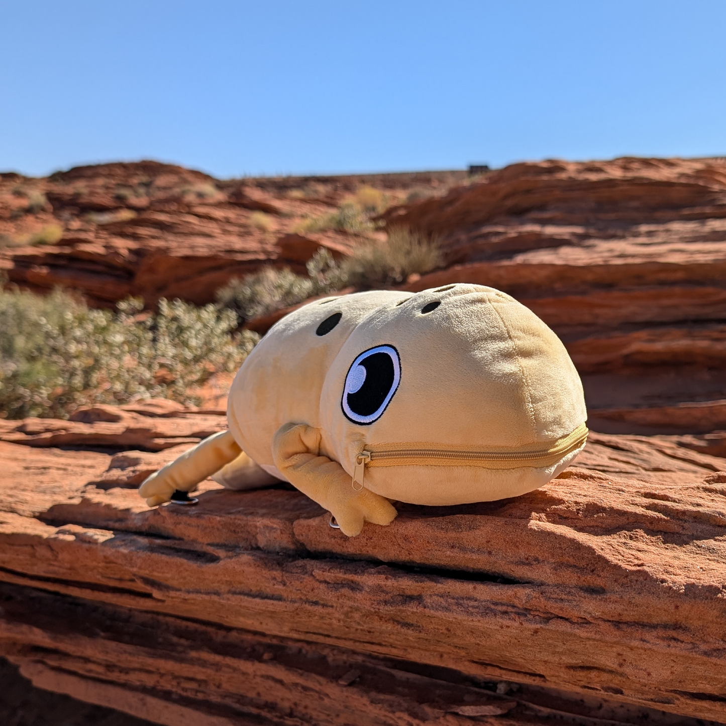 (B-GRADE) Leopard Gecko Backpack