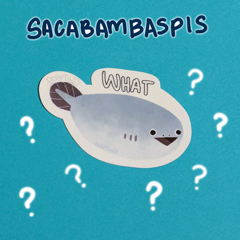 Sacabambaspis Sticker