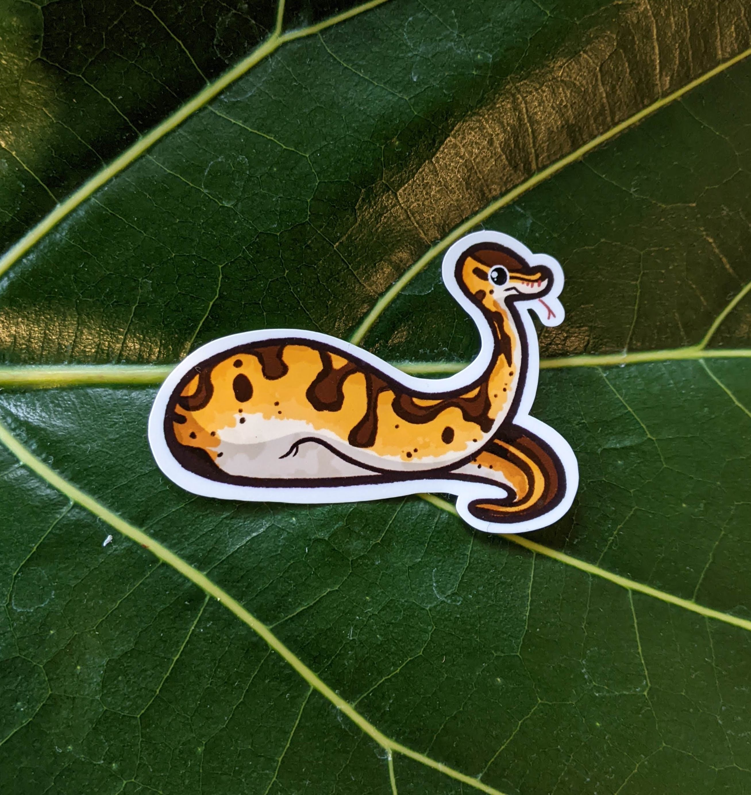 Ball Python Sticker – Derptiles